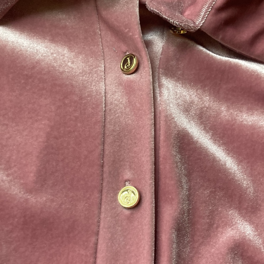 Beautiful Jude Conally rose color, soft velveteen dress - Picture 16 of 16